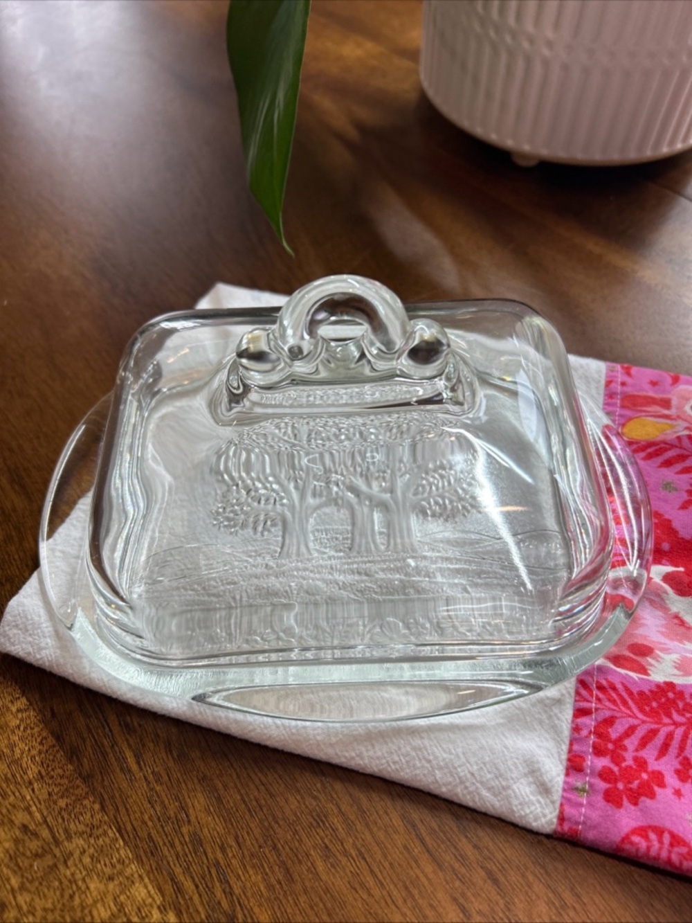 Clear Glass Butter Dish with Embossed Tree Design and cover with handle - Picture 4 of 6